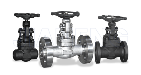 Forged Steel Valve Series