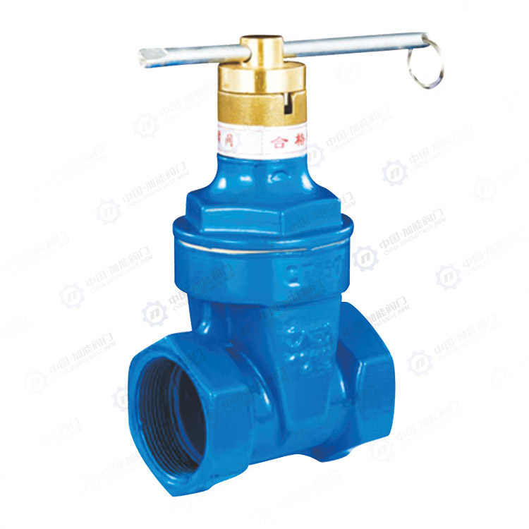 Magnetic locking threaded gate valve