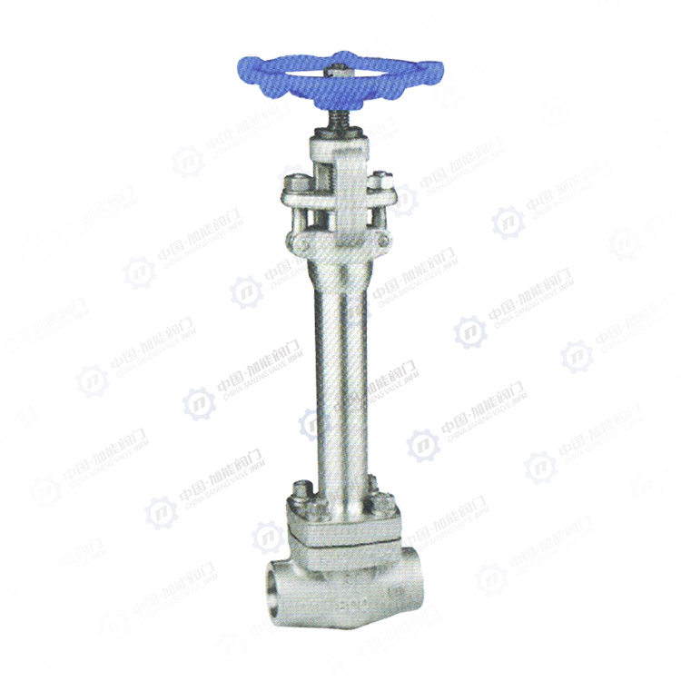 Low temperature socket welding globe valve