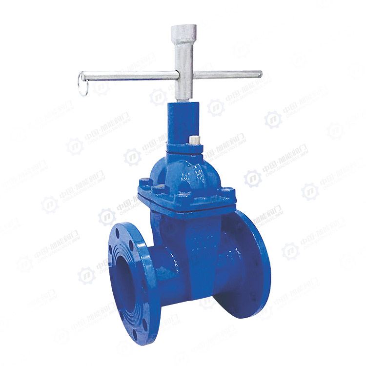 Anti theft soft seal gate valve