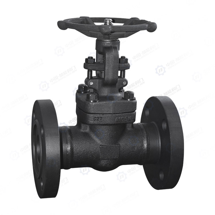 Forged steel flange gate valve