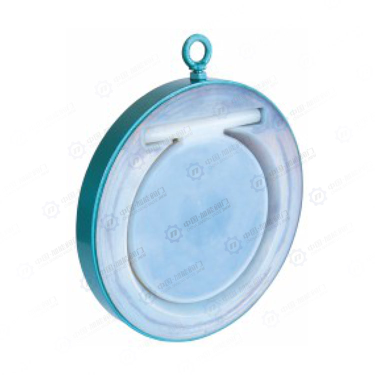 Fluorine lined clamp check valve