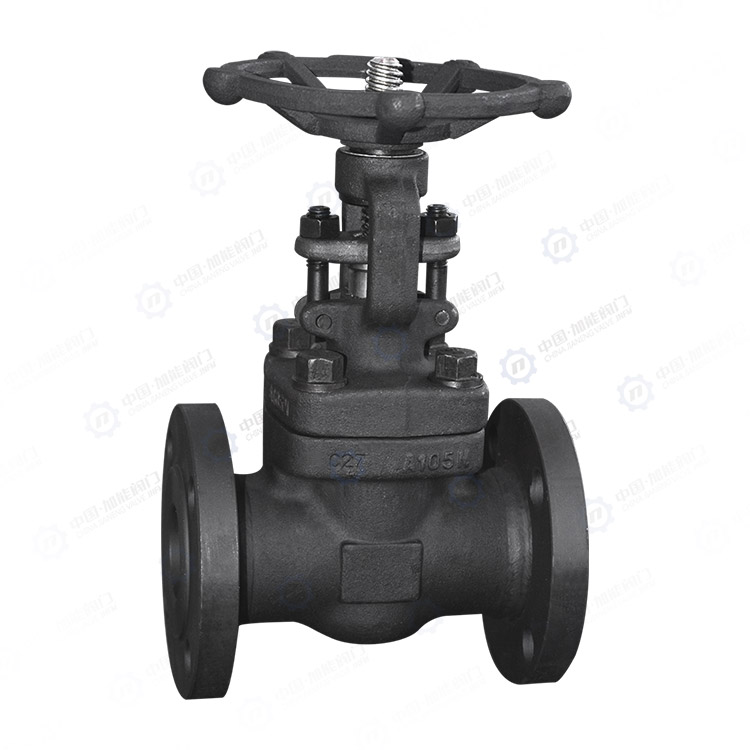 Forged steel flange gate valve