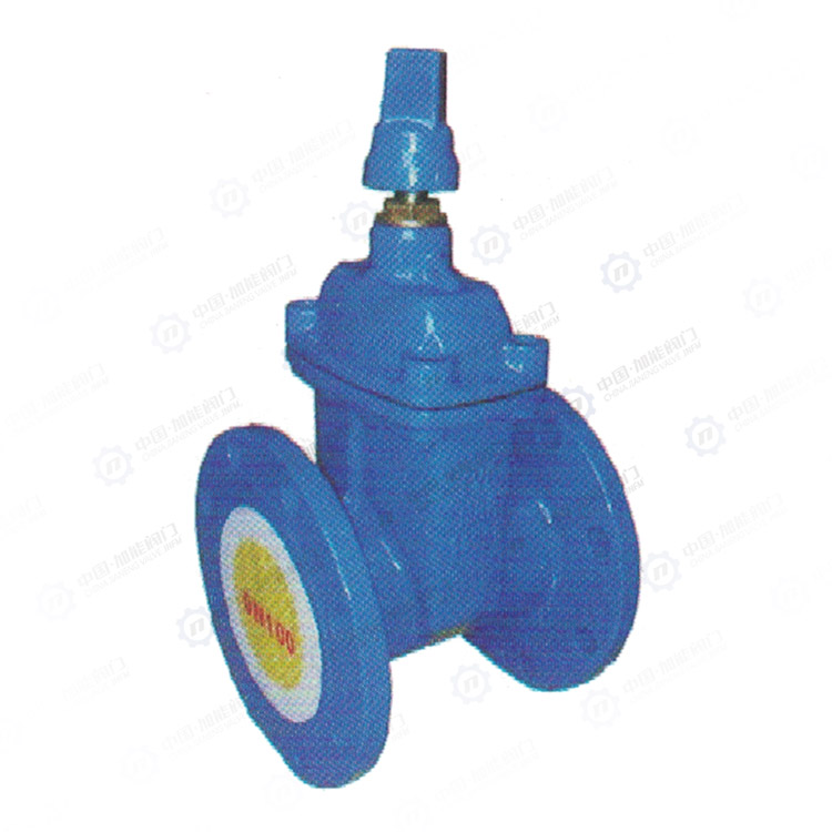 Anti theft soft seal gate valve