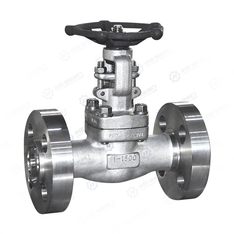 Integral forged flange gate valve