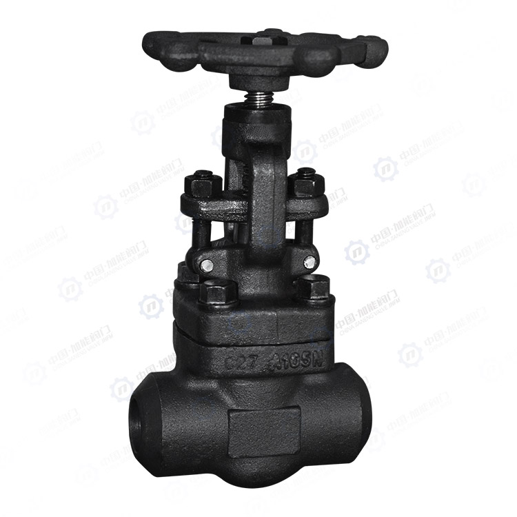 Forged steel butt welded globe valve