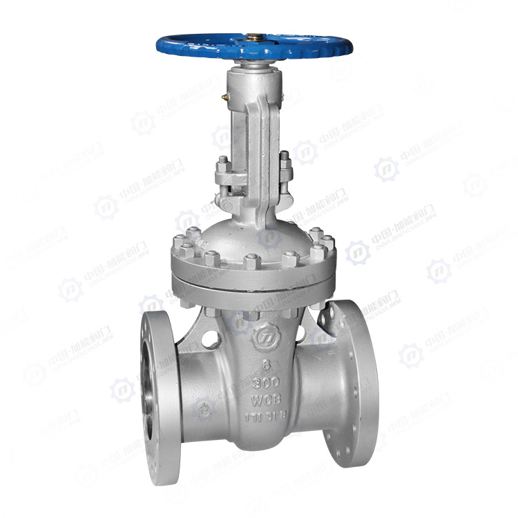 API flanged gate valve