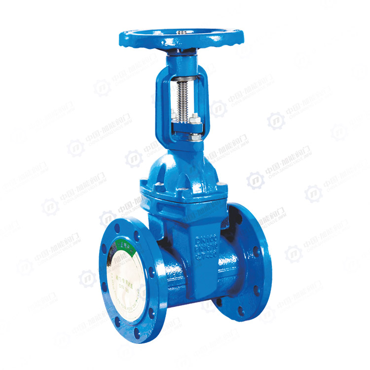 Bright stem soft seal gate valve
