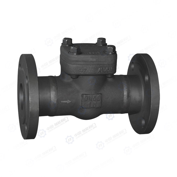 Forged steel flange check valve