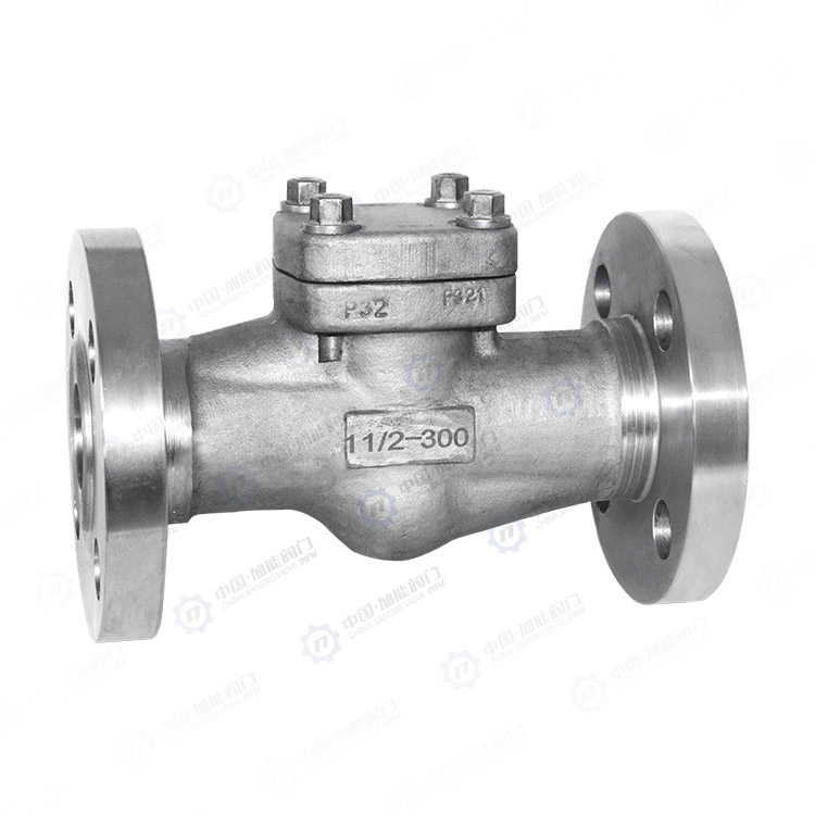 Forged steel flange check valve