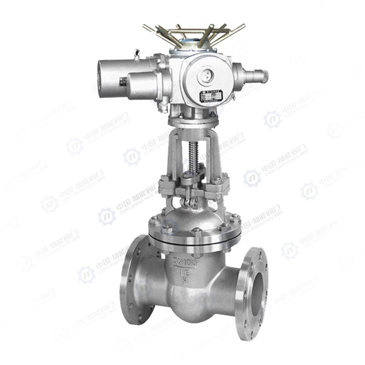 Electric flanged gate valve