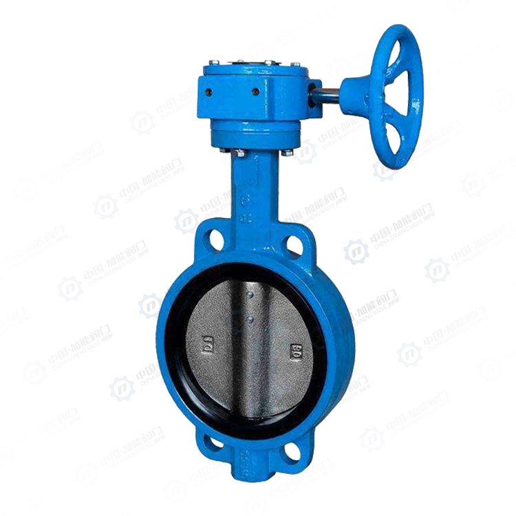 Soft sealed clamp butterfly valve
