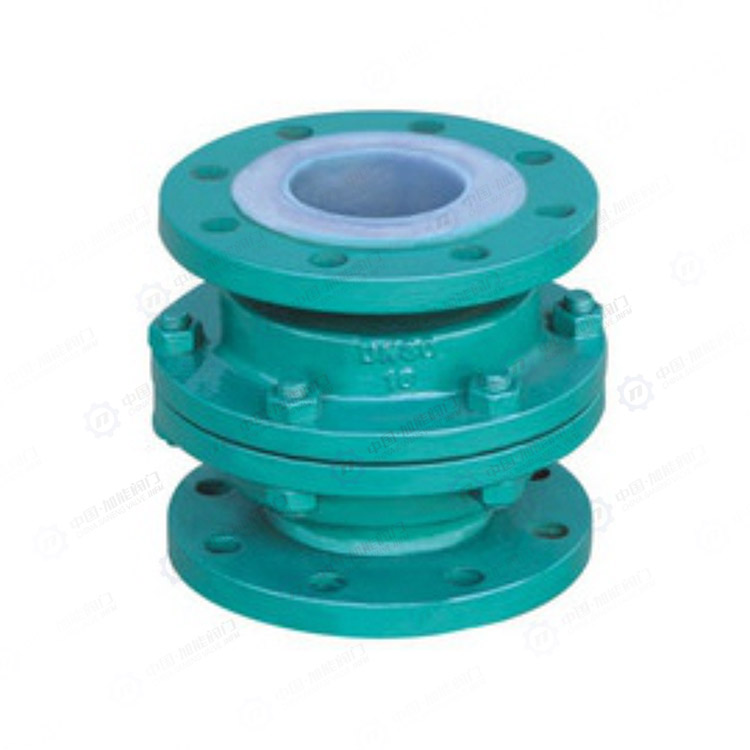 Fluorine lined vertical check valve