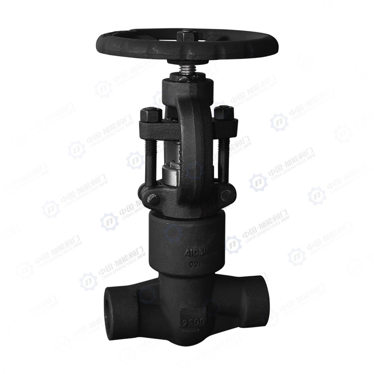 Forged steel socket welding globe valve