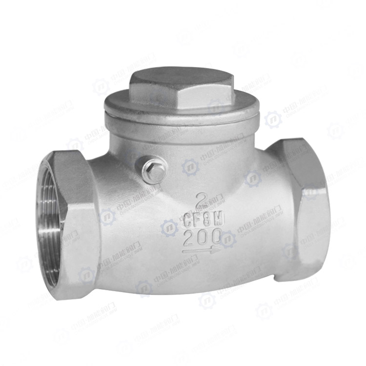 Threaded swing check valve