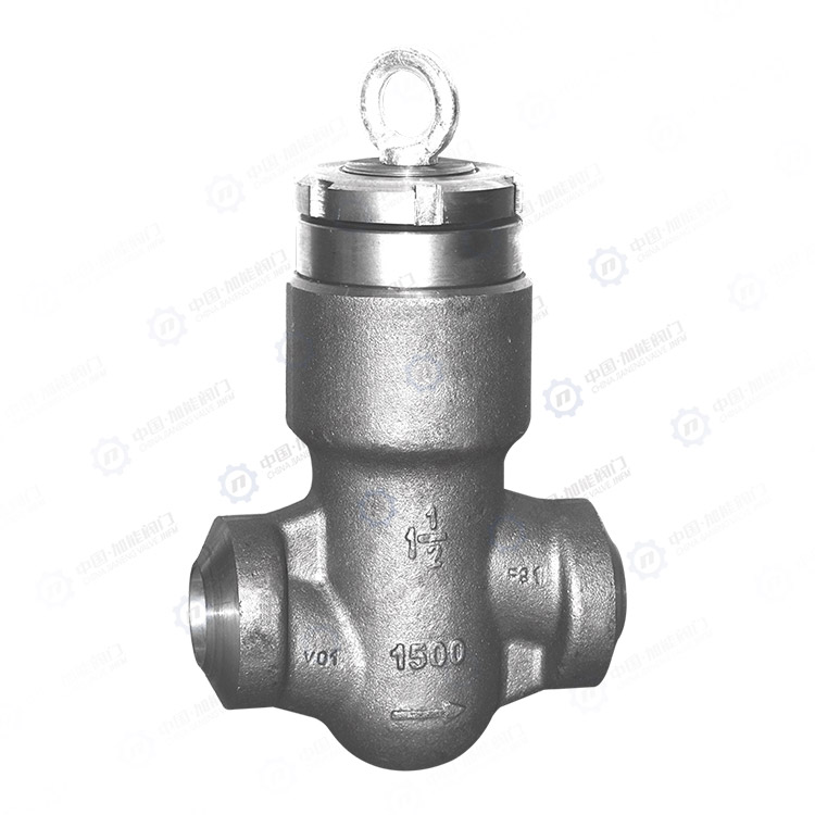 Forged steel butt welded check valve