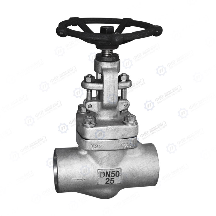 Forged steel socket welding globe valve