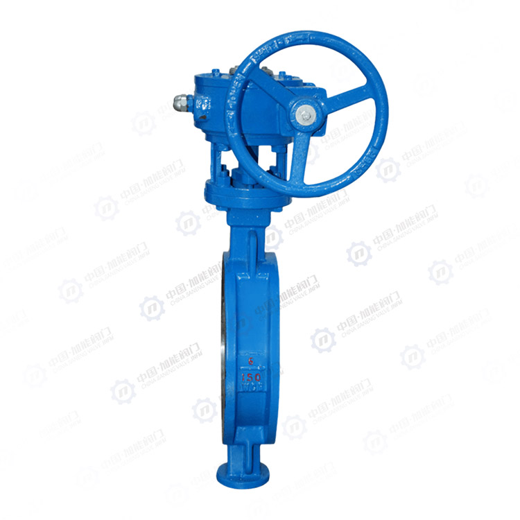 Worm gear clamp butterfly valve