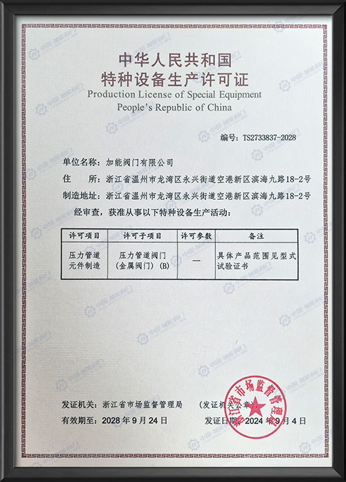 Special equipment production license